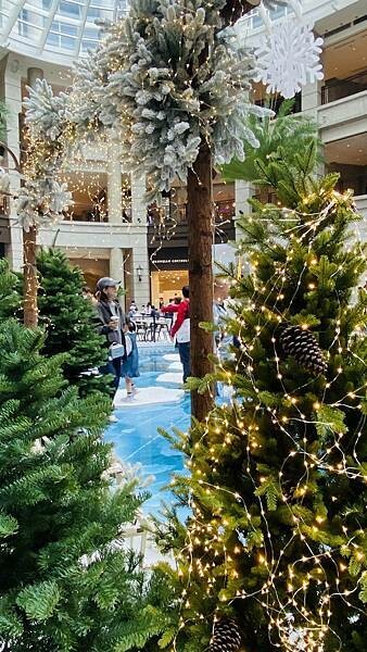 IMG_9269.jpg IMG_9269.jpg