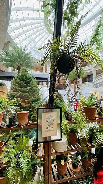 IMG_9249.jpg IMG_9249.jpg