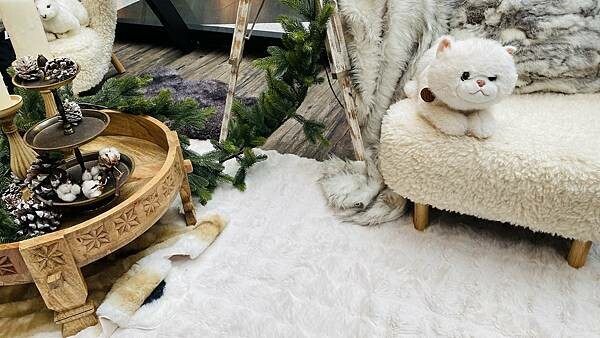 IMG_9245.jpg IMG_9245.jpg