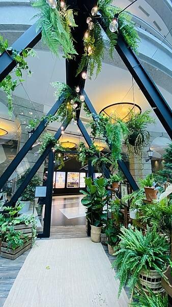 IMG_9250.jpg IMG_9250.jpg