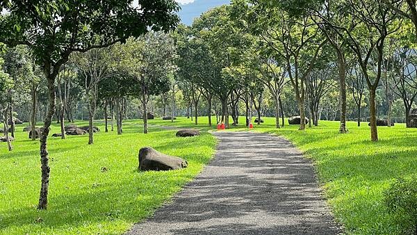 IMG_4994.JPG IMG_4994.JPG