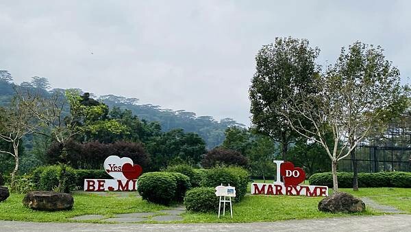 IMG_6343.jpg IMG_6343.jpg