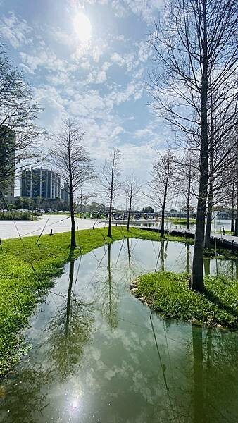 IMG_5573.jpg IMG_5573.jpg