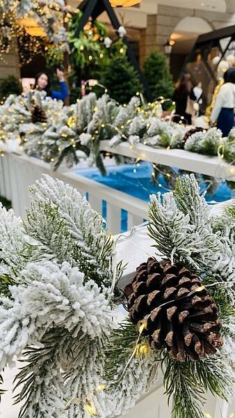 IMG_9264.jpg IMG_9264.jpg