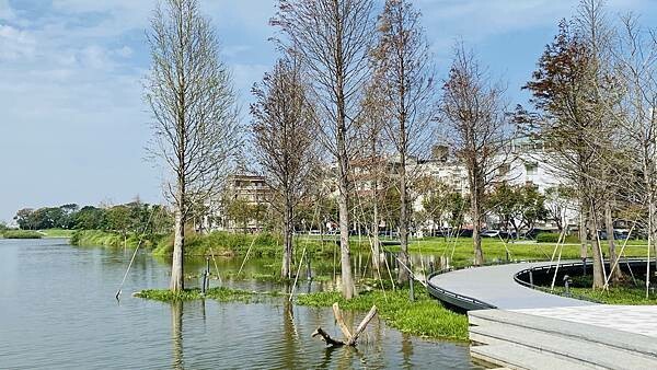 IMG_5582.jpg IMG_5582.jpg