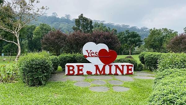 IMG_6371.jpg IMG_6371.jpg