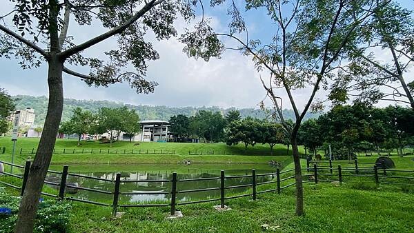 IMG_6388.jpg IMG_6388.jpg