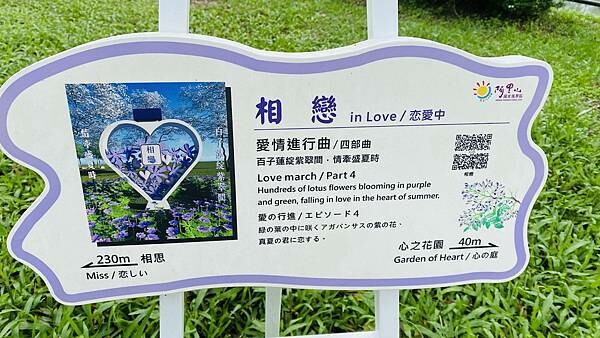 IMG_6386.jpg IMG_6386.jpg