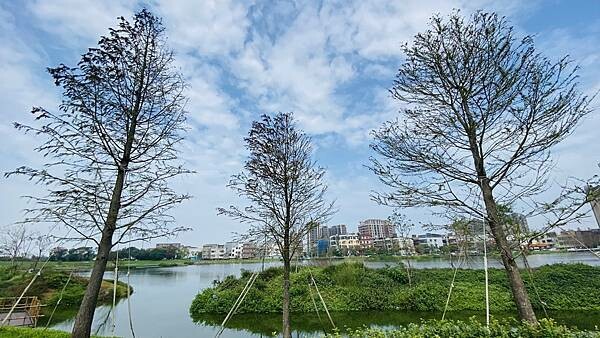 IMG_5735.jpg IMG_5735.jpg