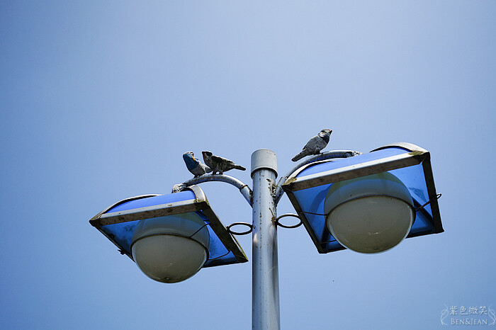 新北金山朱銘美術館一日遊！免費停車藝術公園，親子遊樂區推薦。