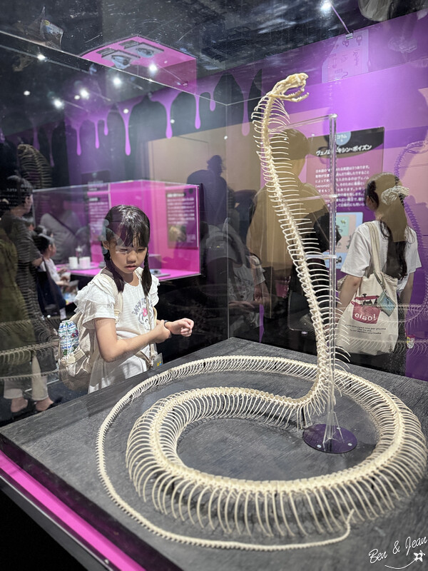 名古屋親子必去「名古屋市科學館」全球最大天文館 互動實驗室玩翻天。