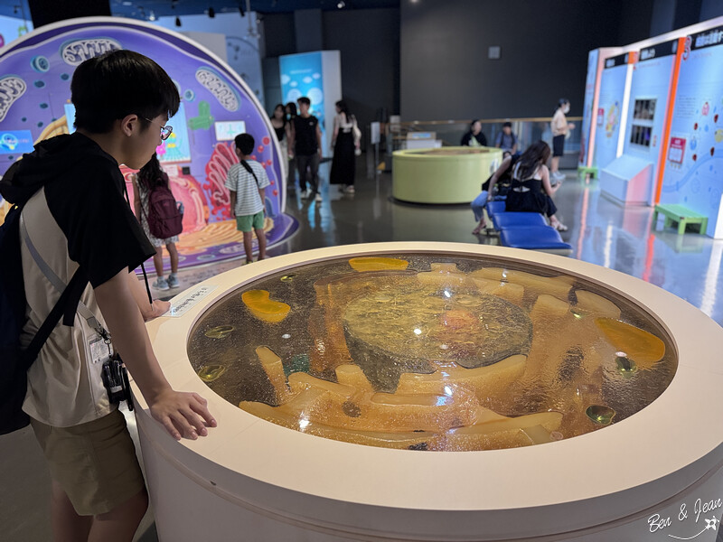 名古屋親子必去「名古屋市科學館」全球最大天文館 互動實驗室玩翻天。