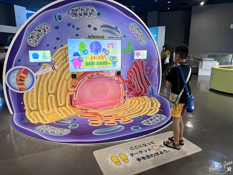名古屋親子必去「名古屋市科學館」全球最大天文館 互動實驗室玩翻天。