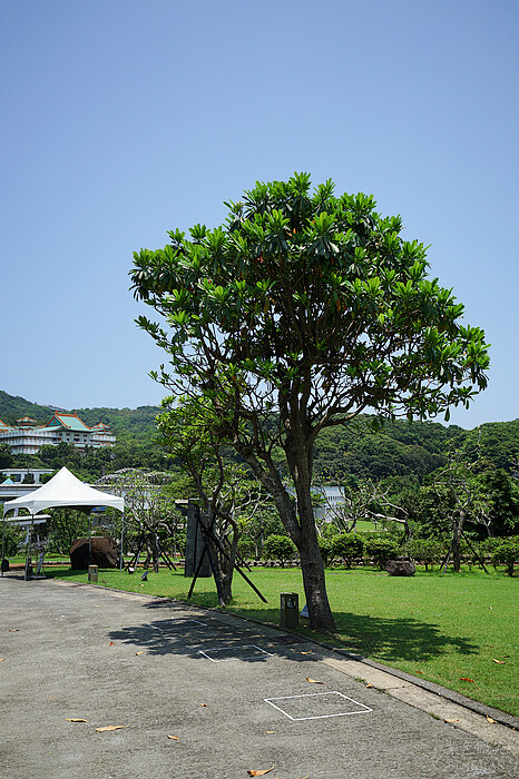 新北金山朱銘美術館一日遊！免費停車藝術公園，親子遊樂區推薦。