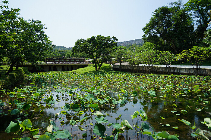 新北金山朱銘美術館一日遊！免費停車藝術公園，親子遊樂區推薦。