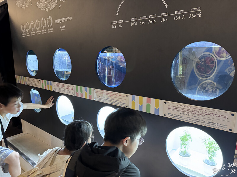 名古屋親子必去「名古屋市科學館」全球最大天文館 互動實驗室玩翻天。