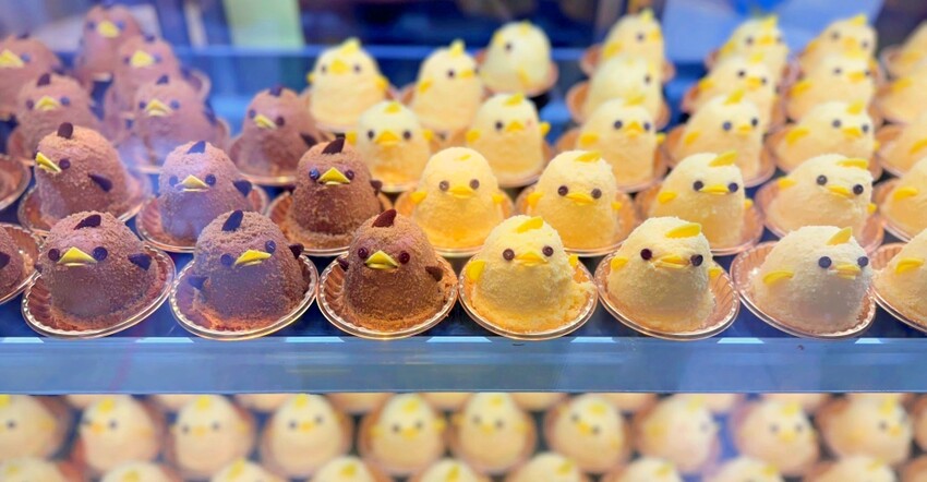 名古屋親子必去「名古屋市科學館」全球最大天文館 互動實驗室玩翻天。