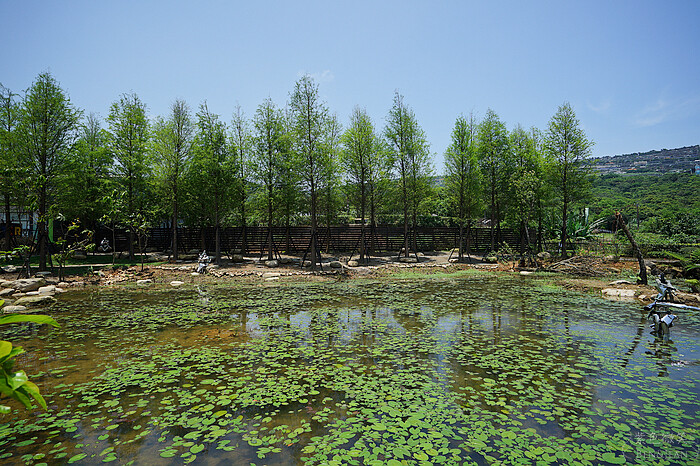 新北金山朱銘美術館一日遊！免費停車藝術公園，親子遊樂區推薦。