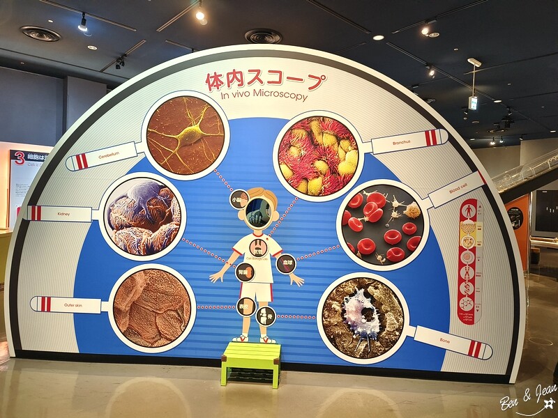 名古屋親子必去「名古屋市科學館」全球最大天文館 互動實驗室玩翻天。