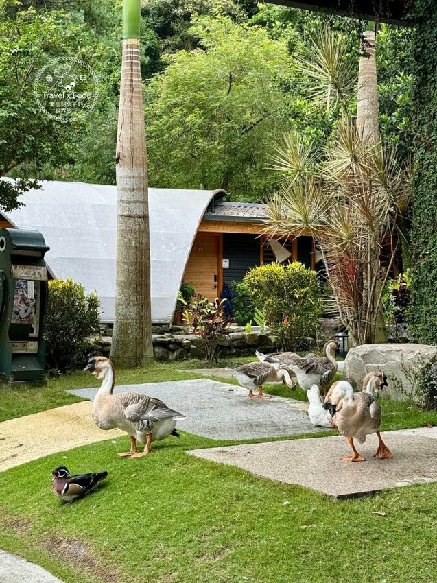 宜蘭鳳梨屋水上莊園，二天一夜，一泊二食豪華露營體驗 - 魚兒 x 牽手明太子的「視」界旅行
