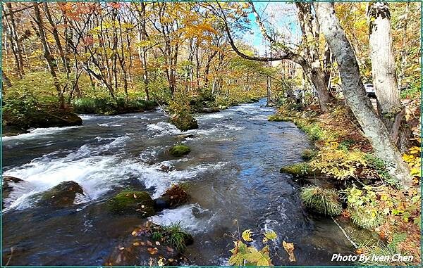 《奧入瀨溪流》2024/10日本之旅第一部曲/騎單車遊「奧入