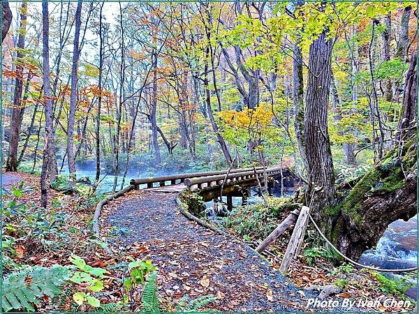 《奧入瀨溪流》2024/10日本之旅第一部曲/騎單車遊「奧入