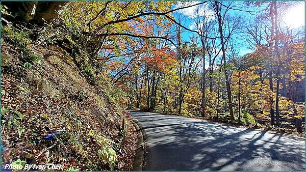 《奧入瀨溪流》2024/10日本之旅第一部曲/騎單車在奧入瀬