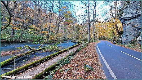 《奧入瀨溪流》2024/10日本之旅第一部曲/騎單車遊「奧入