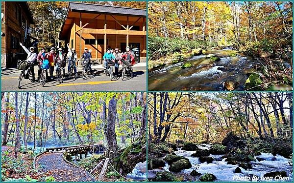 《奧入瀨溪流》2024/10日本之旅第一部曲/騎單車遊「奧入