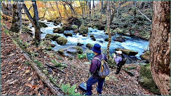 《奧入瀨溪流》2024/10日本之旅第一部曲/騎單車遊「奧入
