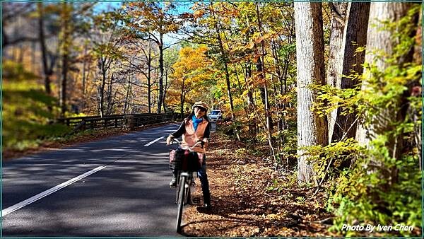 《奧入瀨溪流》2024/10日本之旅第一部曲/騎單車遊「奧入