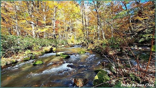 《奧入瀨溪流》2024/10日本之旅第一部曲/騎單車在奧入瀬