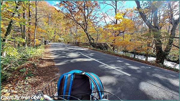 《奧入瀨溪流》2024/10日本之旅第一部曲/騎單車遊「奧入