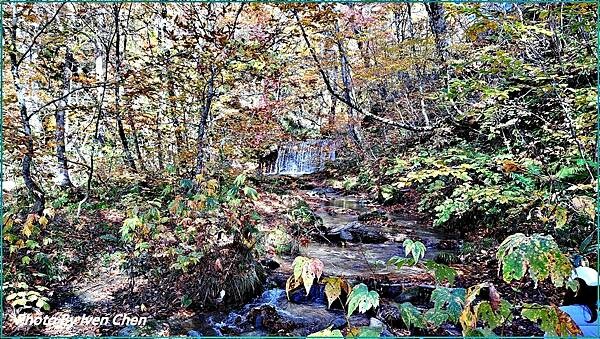 《奧入瀨溪流》2024/10日本之旅第一部曲/騎單車遊「奧入