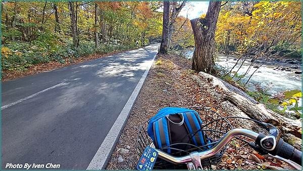 《奧入瀨溪流》2024/10日本之旅第一部曲/騎單車遊「奧入