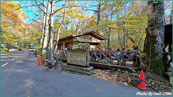 《奧入瀨溪流》2024/10日本之旅第一部曲/騎單車遊「奧入