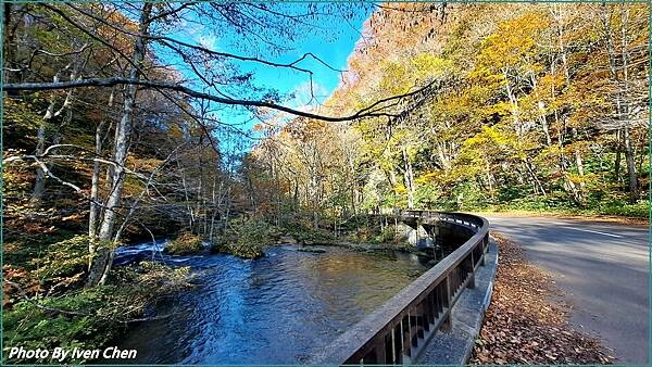 《奧入瀨溪流》2024/10日本之旅第一部曲/騎單車遊「奧入