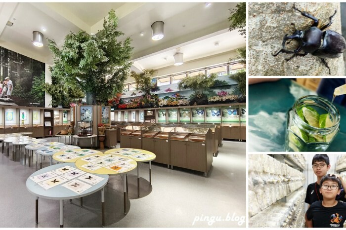 桃園市龜山區2024桃園地景藝術節｜沉浸龜山藝術與人文之美 展場表演/交通/接駁/玩耍攻略