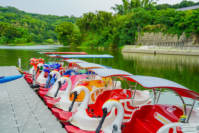 新竹青草湖新玩法！水上活動懶人包，SUP、天鵝船、電動船，情侶親子都適合。