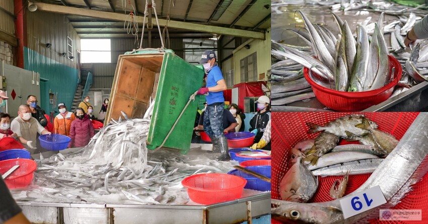 新竹青草湖新玩法！水上活動懶人包，SUP、天鵝船、電動船，情侶親子都適合。