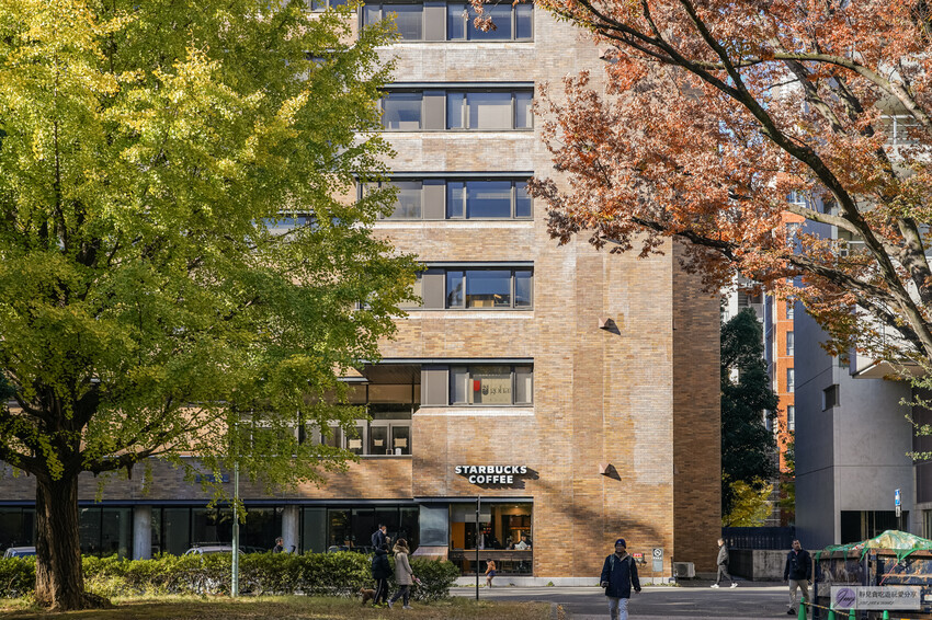 東京大學銀杏並木！秋天限定金黃長廊，賞銀杏必拍地點推薦。