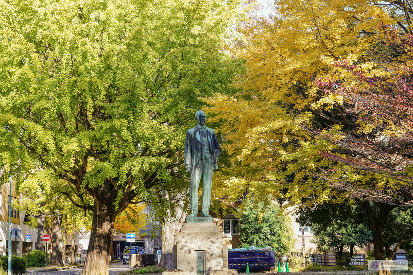 東京大學銀杏並木！秋天限定金黃長廊，賞銀杏必拍地點推薦。