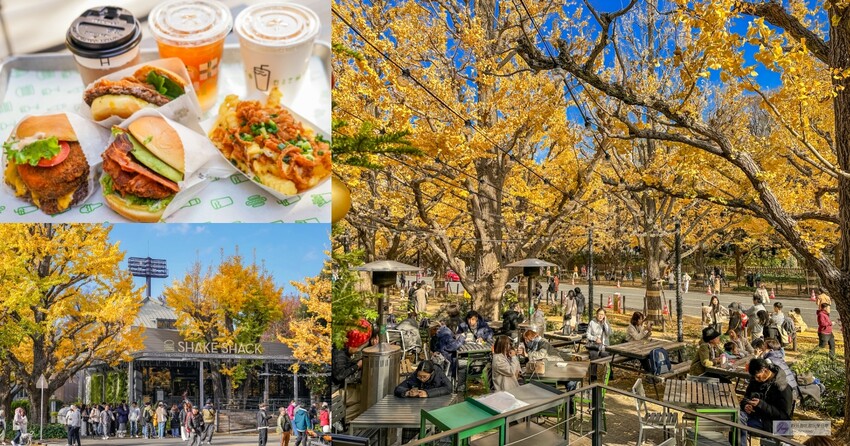 東京大學銀杏並木！秋天限定金黃長廊，賞銀杏必拍地點推薦。