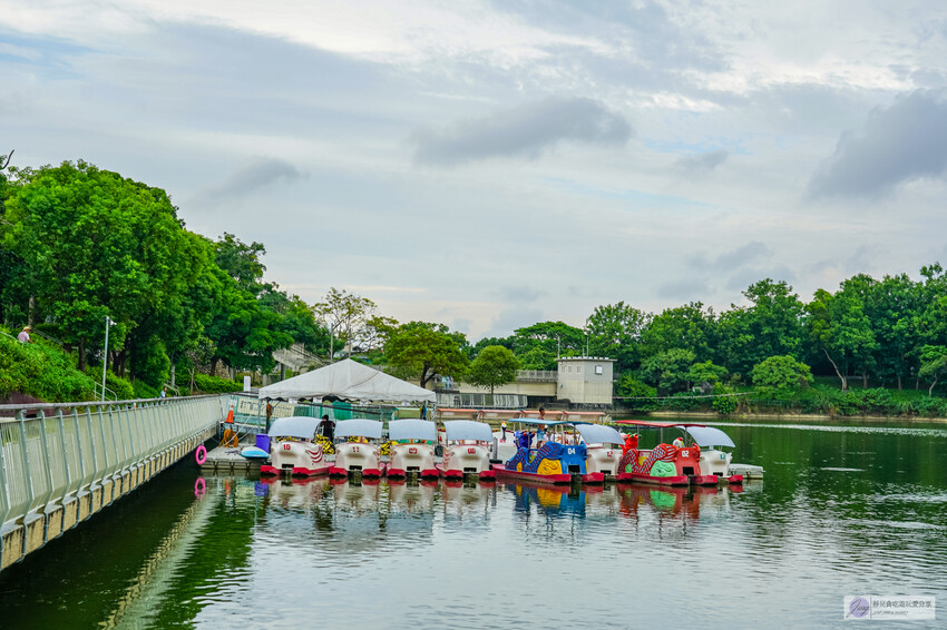 新竹青草湖新玩法！水上活動懶人包，SUP、天鵝船、電動船，情侶親子都適合。