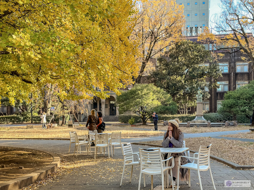 東京大學銀杏並木！秋天限定金黃長廊，賞銀杏必拍地點推薦。