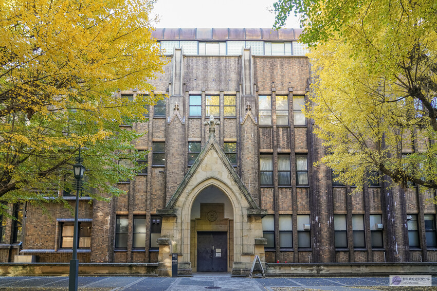 東京大學銀杏並木！秋天限定金黃長廊，賞銀杏必拍地點推薦。