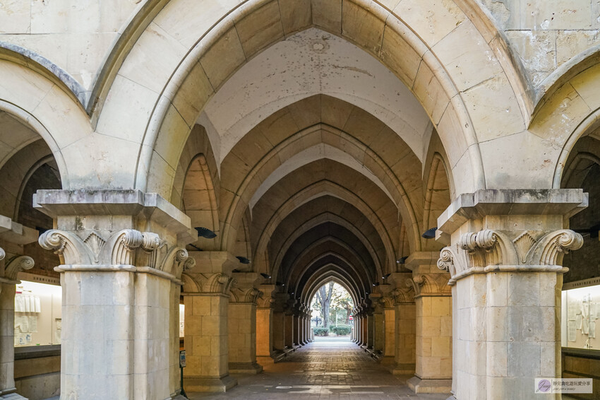東京大學銀杏並木！秋天限定金黃長廊，賞銀杏必拍地點推薦。