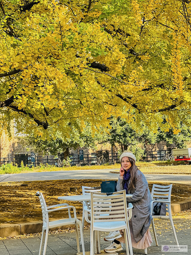 東京大學銀杏並木！秋天限定金黃長廊，賞銀杏必拍地點推薦。