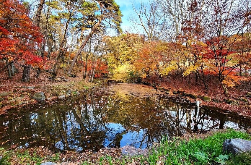 【伽倻山海印寺】楓紅 【伽倻山海印寺】楓紅