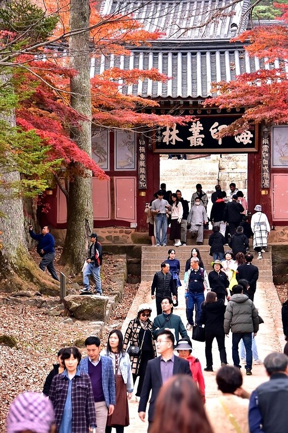 【伽倻山海印寺】 【伽倻山海印寺】